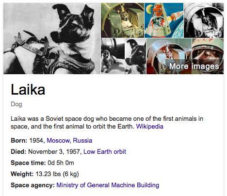 The Soviet Union stunned the world on Nov. 3, 1957, with the launch of Sputnik 2. On board the small satellite was a little dog, Laika, the first animal to orbit Earth.