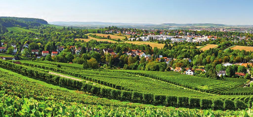 Attractive location for investment right at the heart of Europe Your reasons for investing in the German Southwest Baden-Württemberg is one of the economically strongest regions in Germany and Europe.