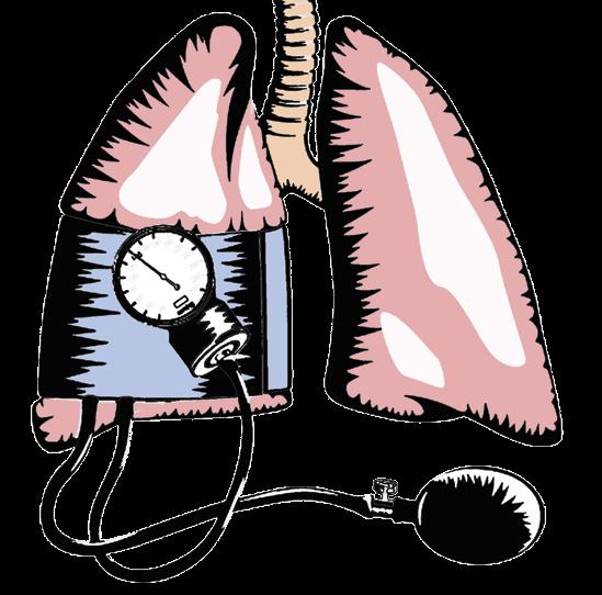 Pulmonary... What? Having pulmonary hypertension (PH for short) means: Pulmonary is another word for lungs.