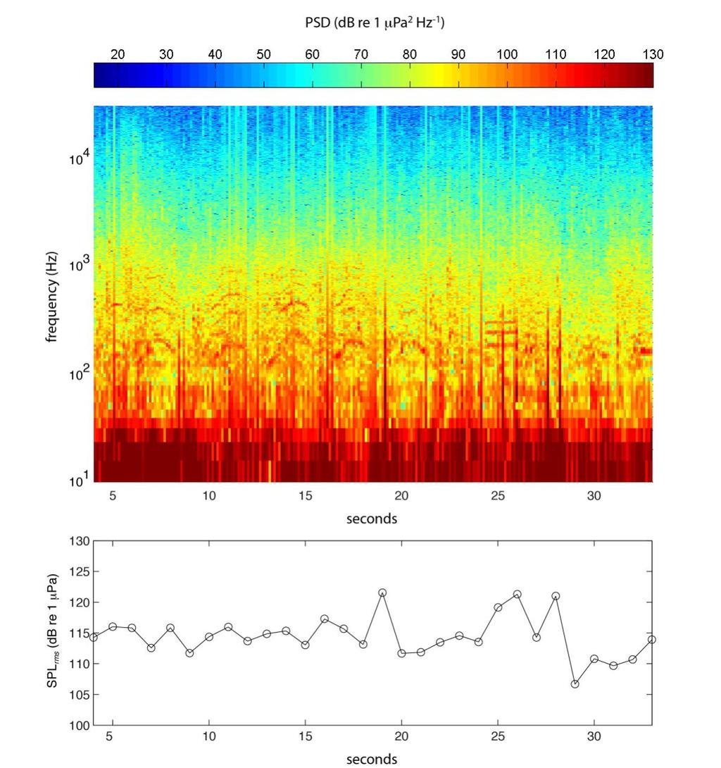 Figure 3. (top) Spectrogram from a recording made at 10 m distance from the WET-NZ test device. (bottom) the broadband (60 Hz 32 khz) SPL rms calculated from 1 second intervals.