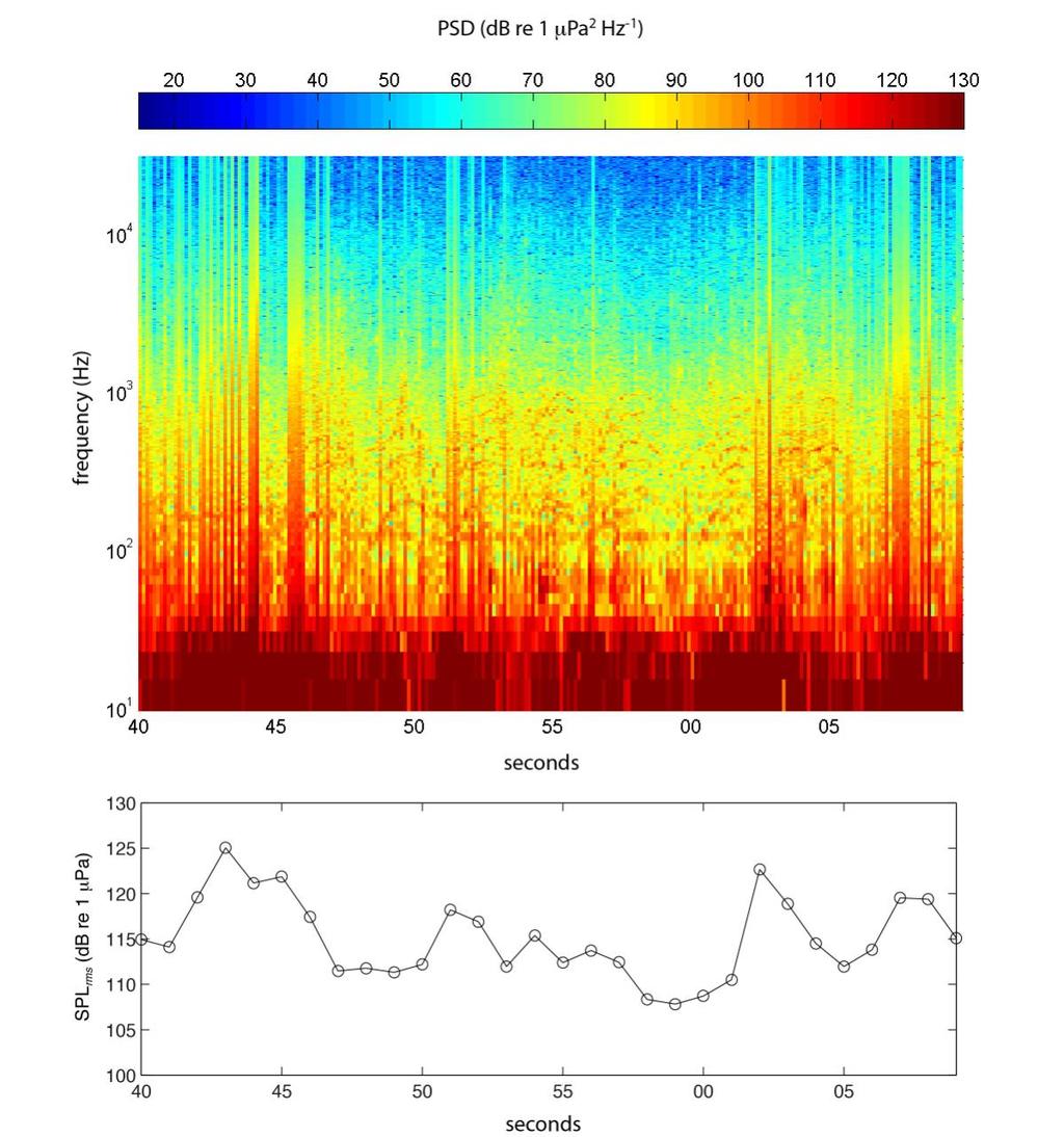 Figure 4. (top) Spectrogram from a recording made at 85 m distance from the WET-NZ test device. (bottom) the broadband (60 Hz 32 khz) SPL rms calculated from 1 second intervals.