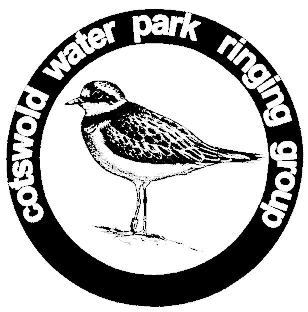 Report on the Black Headed Gull Ringing Project 2003-2007 The Cotswold Water Park Ringing Group was formed in the spring of 2003 in order to coordinate the study of birds in the CWP using ringing.