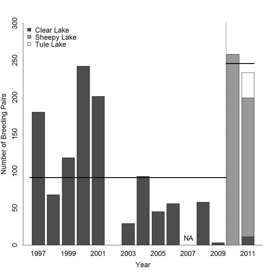 Figure 2.4. Number of Caspian tern breeding pairs in the Upper Klamath Basin of California and Oregon from 1997 to 2011.