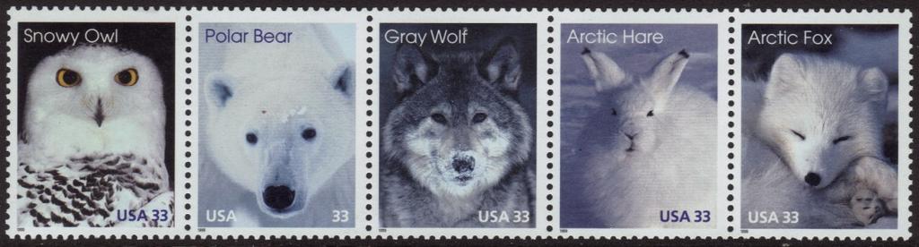10 3288-92 1999 33 Arctic Animals: Arctic Hare, Arctic Fox, Snowy Owl, Polar Bear, Gray Wolf, Strip of 5.(15) 19.50 (10) 14.50 6.75 3293 1999 33 Sonoran Desert, Miniature Sheet of 10. 13.