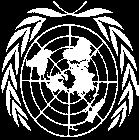 United Nations Statistics Division ESCWA