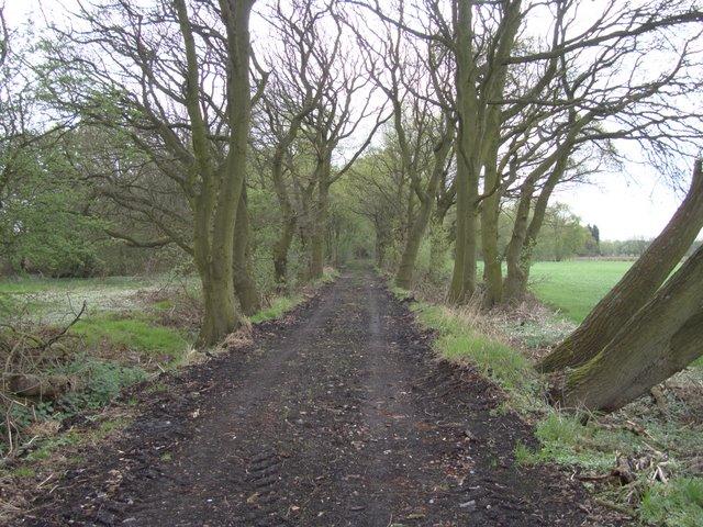 B Rindle Wood. A slender length of deciduous woodland. The track running along it eventually bears round to the left and towards the fields and the SSSI (Site of Special Scientific Interest).