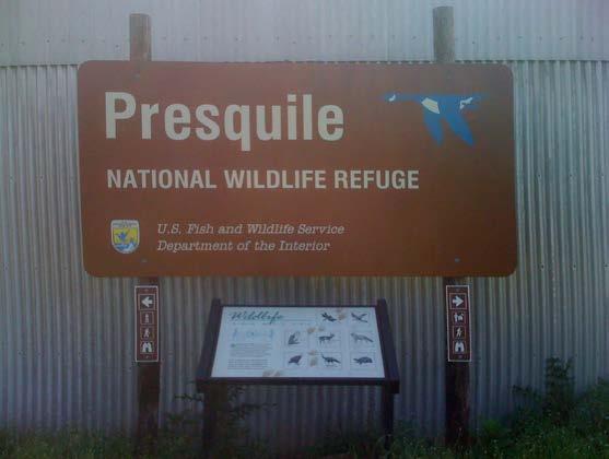 PRESQUILE Presquile NWR is an important stopover site to migratory birds as they travel up