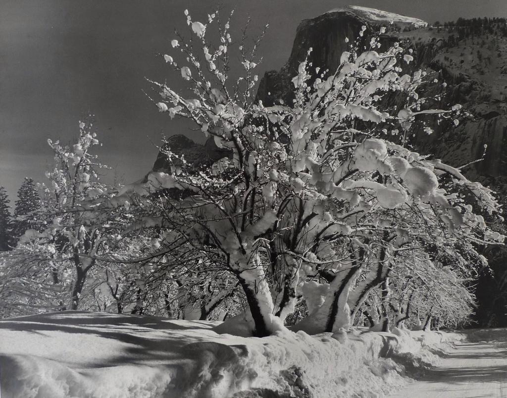 Half Dome, Orchards, Winter, Yosemite National Park (ca. 1935) 14-3/8 x 18-3/8 inches, mounted Signed in pencil on mount; annotated in pencil, on mount verso.