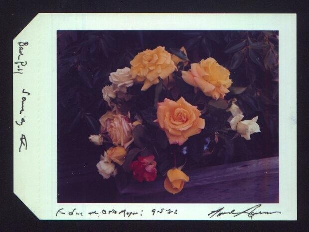 Roses (1982) Vintage color Polaroid print 3-1/2 x 4-1/2 inches, on larger sheet Signed, dated, and inscribed in ink in margin; signed, inscribed, and annotated in ink, on print verso.