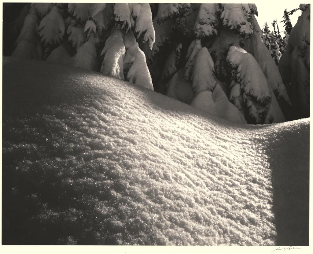 Snowbank, Badger Pass, Yosemite National Park, California (1955) 7-1/4 x 9-1/4 inches, mounted Signed in ink on mount; with photographer's earliest Carmel, California ink stamp, titled in ink, on