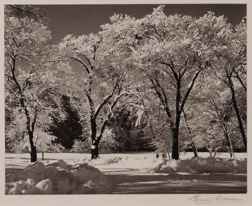 Winter, Yosemite Valley, California (ca. 1944) 3-1/8 x 4 inches, mounted Signed in pencil on mount; titled and inscribed in ink, on mount verso. Provenance: From the photographer to Mrs. Otto A.