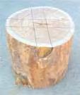 Carve Your Own Stool (If You Have a Chainsaw) This item adapted from Getting All Lumberjacky, by the Rooster