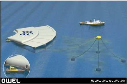 Figure 5: Pelamis Other variants might include non rectangular box type forms e.g. the OWEL Grampus WEC (Figure 6) and floating platform constructions such as the Blue H floating wind platform (Figure 7).