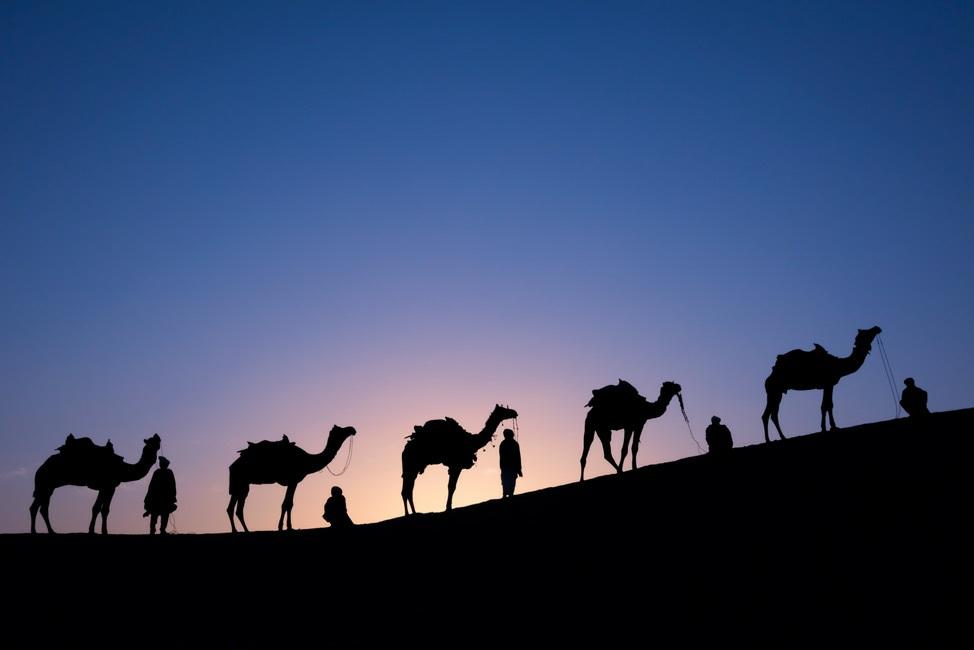 Sunrise, Thar Desert, India. "We were there before the sun rose and asked the drivers to arrange themselves and the camels to get that separation.