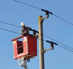 In this way contact between birds, powerlines and pole is prevented thus avoiding electrocution.