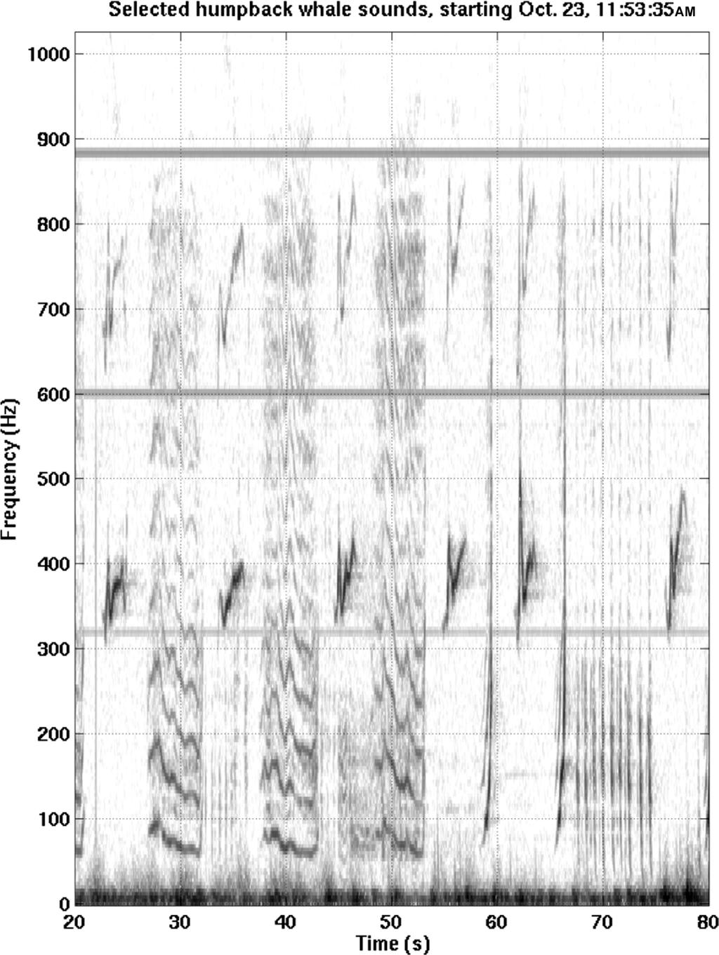 702 IEEE JOURNAL OF OCEANIC ENGINEERING, VOL. 31, NO. 3, JULY 2006 Fig. 4. Spectrogram of humpback whale song used in matched-field synchronization and tracking analysis.