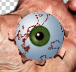 Open the Bloodshot Eye document you created for your last project, choose Layer > Merge Visible, then drag the merged eye into the EyeInHand document.