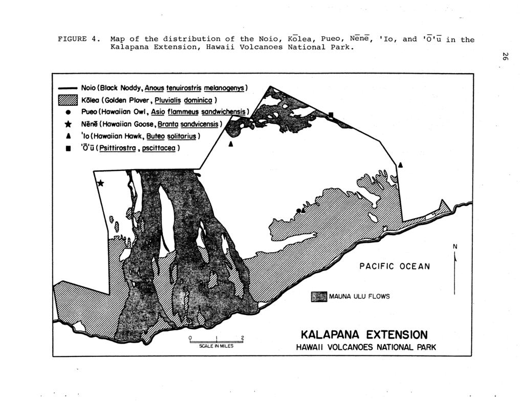 FIGURE 4. Map of the distribution of the Noio, Kolea, Pueo, Nene, 'Io, and 'O'u in the Kalapana Extension, Hawaii Volcanoes National Park. IV 0'1 - Noio (Black Noddy, Anous tenuirostris melanogenys).