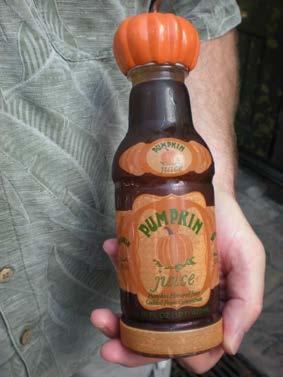 Pumpkin Juice www.