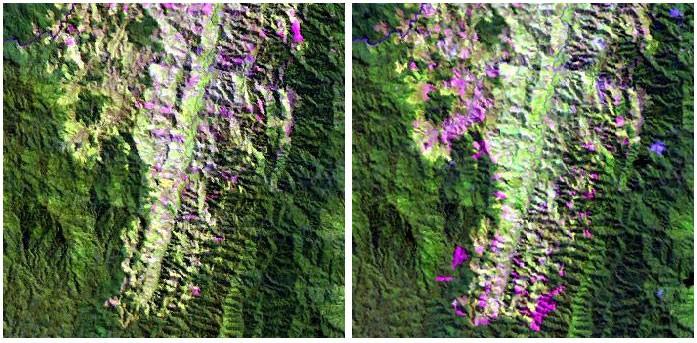 Figure 3: Two Landsat Thematic Mapper images acquired from an area in northeastern Madagascar (Landsat path/row 158/72).