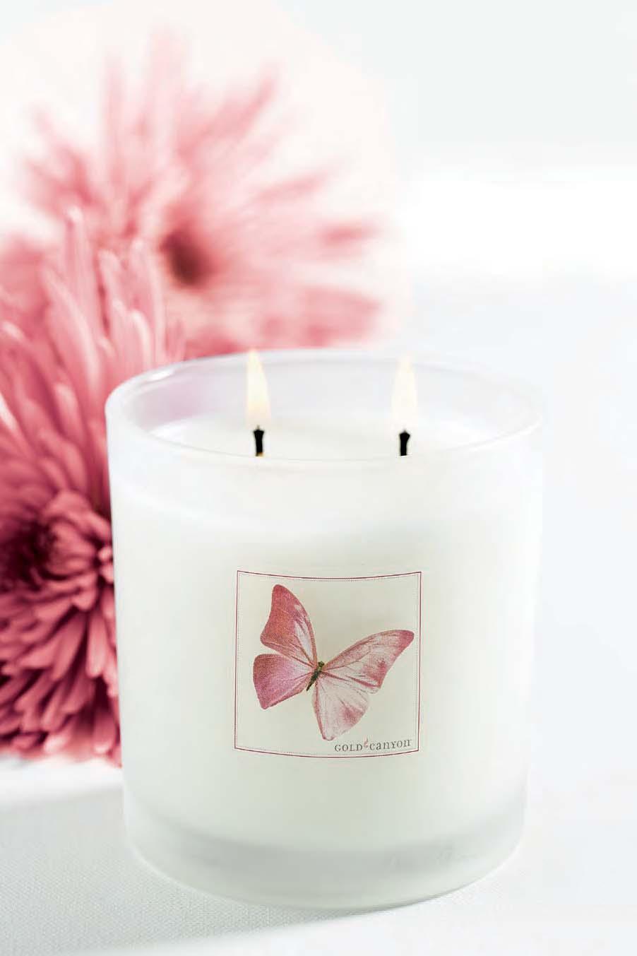 READY TO renew BURNING BRIGHT SCENTED CANDLE (7.5 OZ.) Burn time: 40-50 Hours 96680 $12.