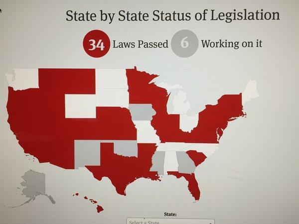 Most of these states have passed legislation providing for public benefit corporations while two (Oregon and Maryland) now allow benefit limited liability companies.