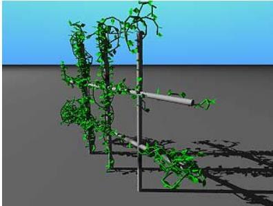 2 Related Work Interactive control by positioning attraction Simulate climbing plants by