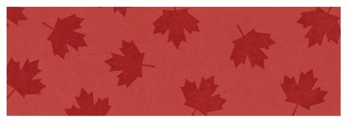 Stamp I [heart] Canada with Candy Apple ink directly on base page, as shown Tip: