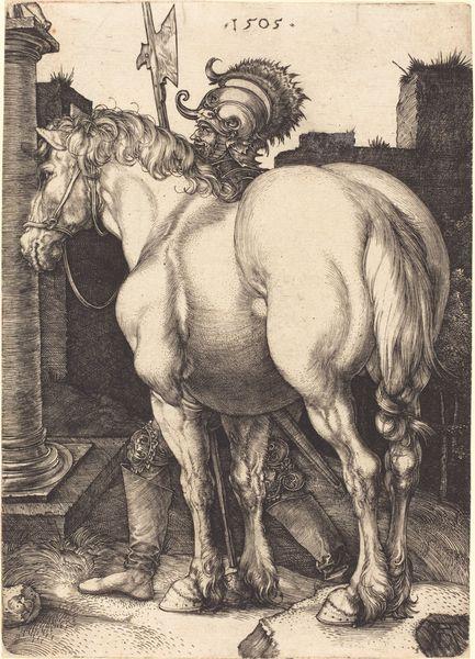 Lines in Albrecht Durer's Drawing of a Large Horse Lines in Albrecht Durer's Drawing of a Large Horse This is a drawing of a horse from the artist Albrecht Dürer.