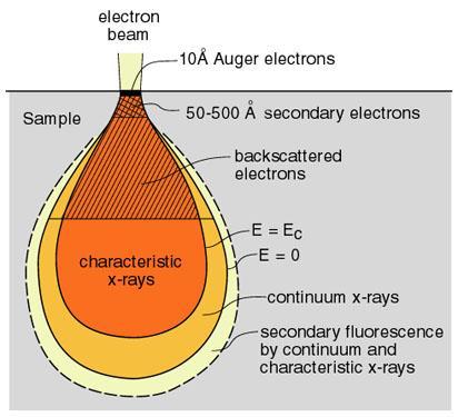 Auger electrons Secondary electrons Backscattered electrons Characteristic