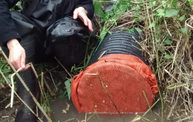 Pond 2 Figure 3 Nylon mesh to prevent fish movement between ponds 1 and 2 This small, deep pond is adjoined to pond 1 by a pipe that was covered by mesh in May 2014 to prevent fish movement from the