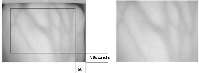 Consequently, using near infrared emitter of fixed wavelength to evenly irradiate hand region, then using near infrared camera to collect light reflection can capture the hand vein image.