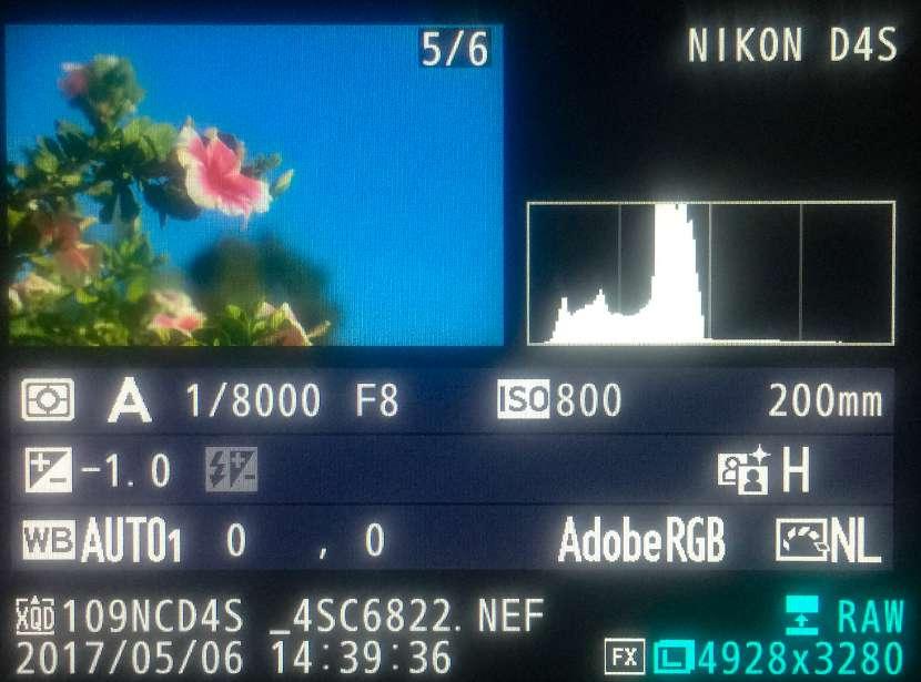 Taking the image again with the exposure increased by 1 stop would produce the following on-camera histogram: If you