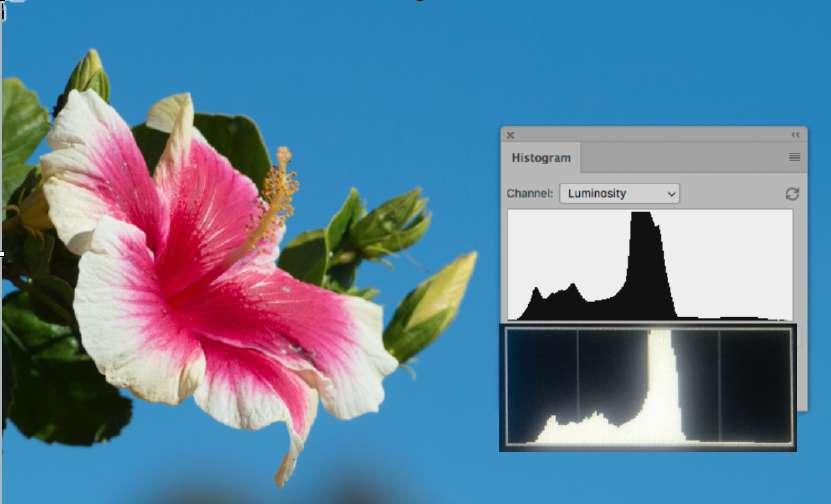 It is important to remember that the histogram of the on-camera preview is just an approximate guide to the exposure and it will not be identical to the histogram