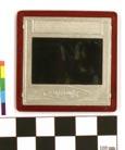 Heinalised. 1910-1920.aastad. Autokroom, katteklaasiga, 9x12x0,3 cm.