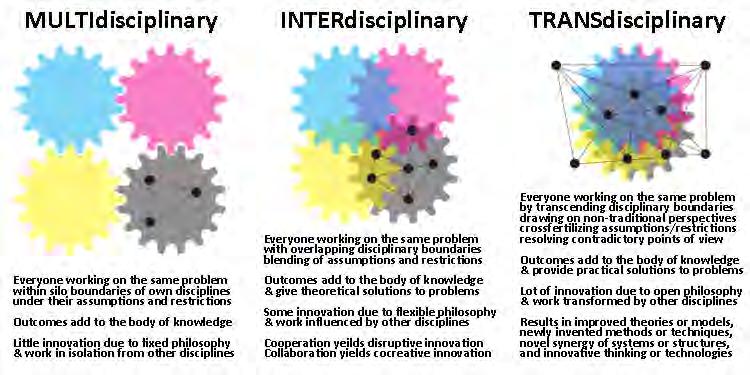 Multi-, Inter-, Transdisciplinarity Disruptive innovation an innovation that helps create a new market and value network, and eventually disrupts an existing market and value network, displacing an