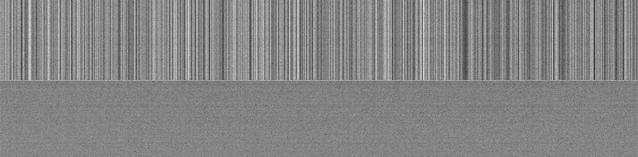 edge scientific CMOS camera features The top image shows an extract of a typical edge recording of a grey scale with a 1 : 10 000 dynamic in 20 steps.