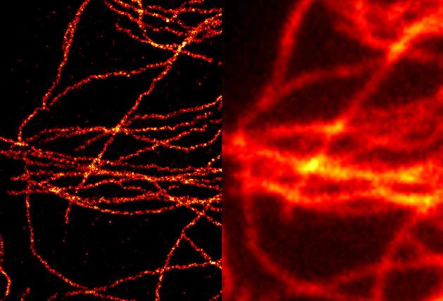 edge scientific CMOS camera applications life science physical science industry A widefield (right) and a GSDIM superresolution (left) microscopy image of