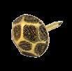 turtle shape 52 H 21,0 mm small turtle shape type 1 9 HS