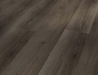 (4V) ** Oak D081 * Oak natural Wood texture 1730552