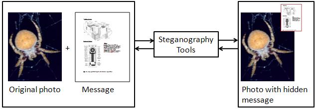 Using Tools There are a lot of tools for Steganography S-Tools Windows-based Steganography