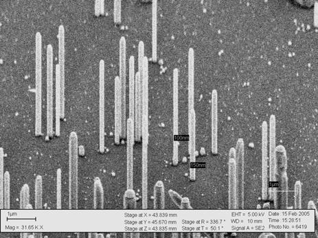 1 GROWTH OF InAs NANOWIRE ARRAYS ON InAs (111) SUBSTRATE An image of the nanowires grown inside