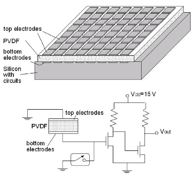 Piezoelectric Tactile Sensor Reference 6-31: Kolesar, et al, JMEMS, 1995 Use an entire piece of
