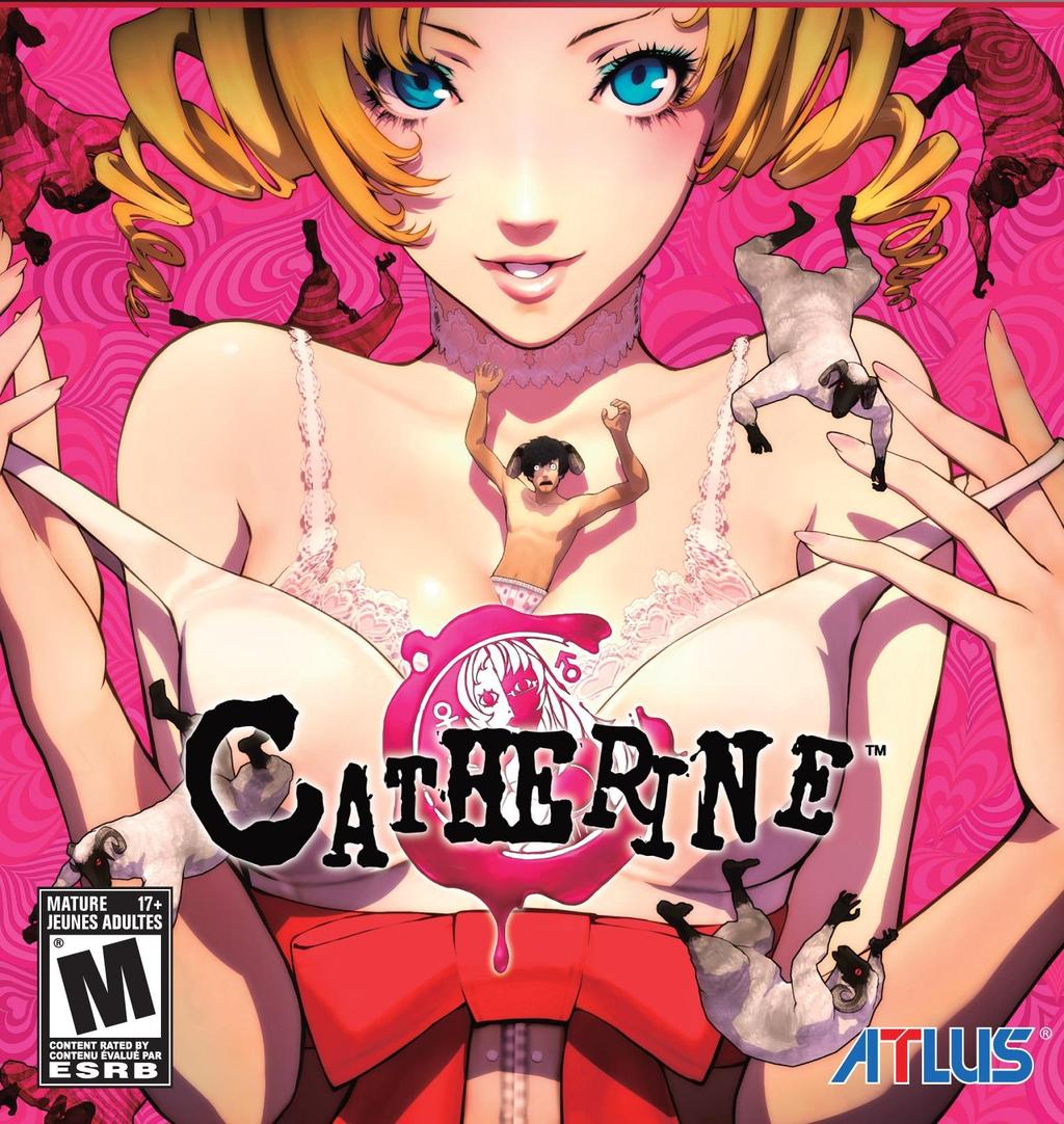 Explicit Morality Questions Catherine Asked players their views on various moral and