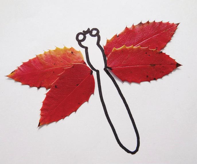 Leaf Creatures Supplies: construction paper, glue, leaves, crayons, markers Step 1: Go outside and