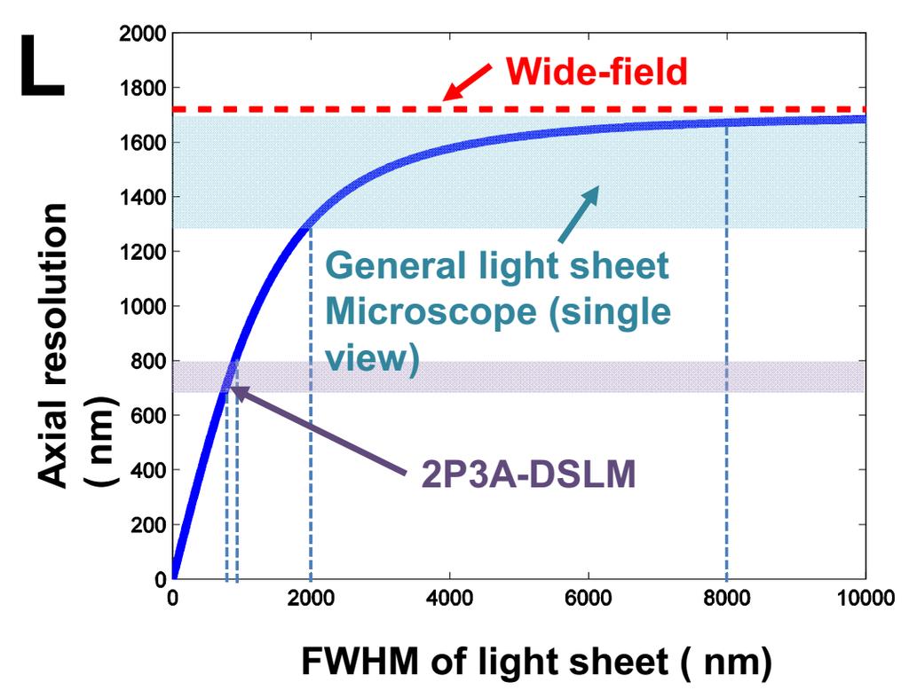 Supplementary information, Figure S1L Theoretical consideration of the axial resolution of LSFM with different thicknesses of the light sheet.