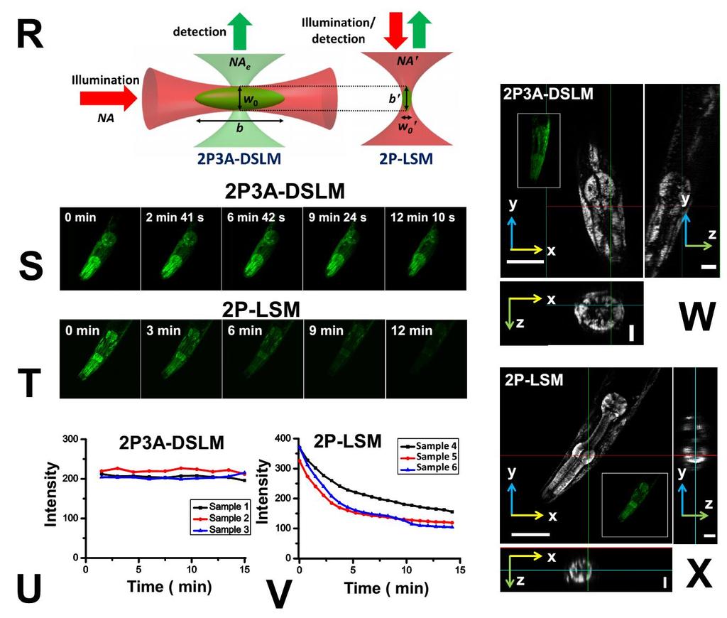 Supplementary information, Figure S1R-S1X Experimental and theoretical comparison of photobleaching between a P3A-DSLM and a P-LSM.