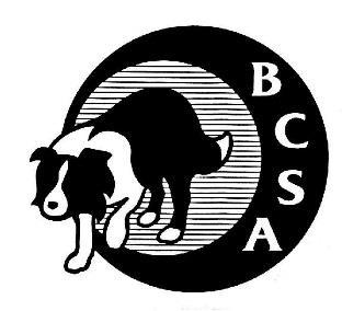 Minutes of BCSA Board Meeting Tuesday November 13, 2018 The regular monthly meeting of the 2017-2018 BCSA Board was called to order at 6:32 PM CDT by the President. The Secretary was present.