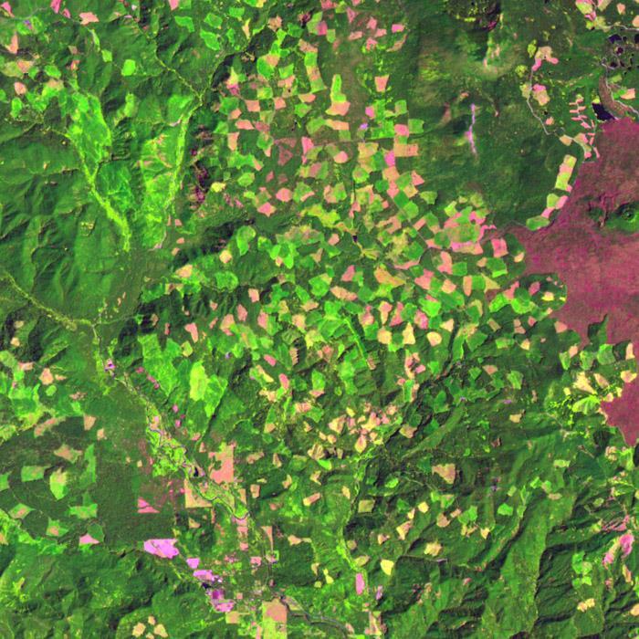 Landsat TM image of part of the