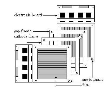 Detectors characteristics strip Between cathode and